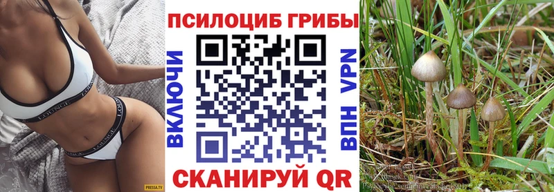 Псилоцибиновые грибы Magic Shrooms  Ростов 